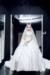 -Bridal Queen·婚纱女皇