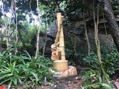 -海口观澜湖火山温泉谷