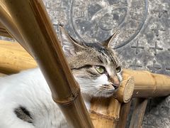 -铜瓢江湖兔火锅(水碾河社区店)