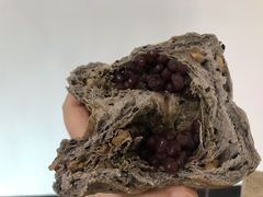 -可莎蜜兒(金城店)