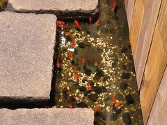 -邈墨茶馆(凤起路店)