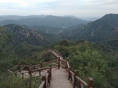 -大岭沟猕猴桃谷风景区