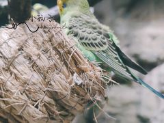 -zoonana室内动物园(东方福来德店)