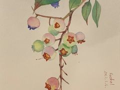 -六出私塾LiuChu•成人美术书法系统课程专业画室(熊婆婆的花园店)