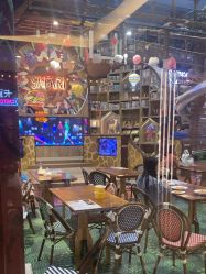 -卡通尼·Safari非洲探索乐园·生日会(金桥国际商业广场店)