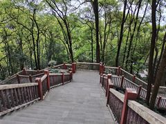 -南山植物园