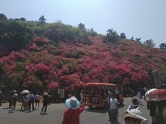 -木兰云雾山