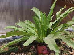 -陈熹公民族美食文化餐厅(中华广场店)