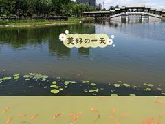 -西海子公园