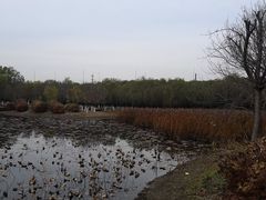 -东郊湿地公园