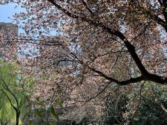 -木塔寺遗址生态公园