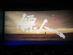 -武商摩尔影城(国广IMAX激光店)