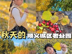 -仁和公园(顺义区)
