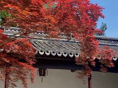 -苏州文庙(姑苏区)