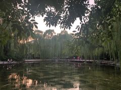 -玲珑塔公园