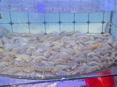 -日照大牌檔•小船海鲜(万平口店)