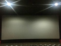 -SFC上影百联影城(大上海4DX店)