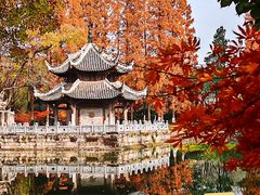-习家池