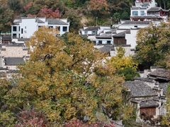 -塔川景区