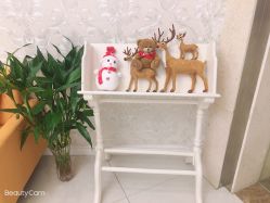 -Cocodemer女性健康·产后恢复(天一广场店)