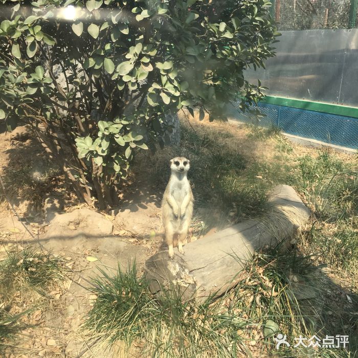 郑州市动物园景点图片