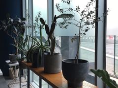 靠窗位-半山腰·云南菜(侨福芳草地店)