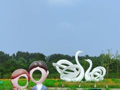 -东郊湿地公园