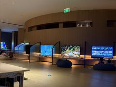 -涨巢·潮玩水疗局