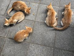 -晓港公园