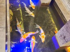 -唐山宴大唐州府精品中餐