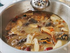 -蘑统田下·野生菌火锅
