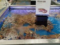 -盒马X会员店(上海森兰商都店)