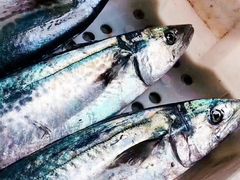 -青岛沙子口国家中心渔港