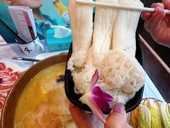 -鲜入围煮花胶鸡海鲜火锅