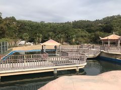 -广东惠东海龟国家级自然保护区