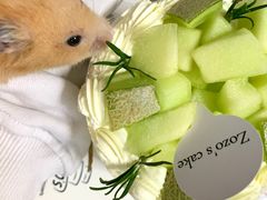 -ZOZO's昌左左精致甜品设计(新北店)