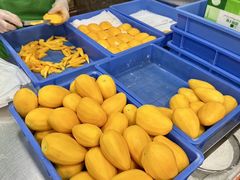 -澳门长洲糯米糍(柯打苏沙街店)