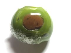 -南通大学-食堂