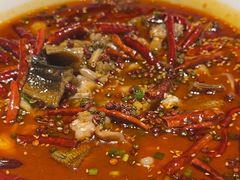 -顺香居·老字号湖北菜(江汉路店)