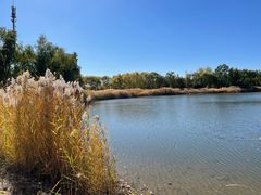 -永定河休闲森林公园