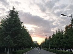 -东北师范大学(净月大街校区)