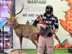 -都市枪神实弹射击俱乐部