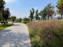 -汉长安城未央宫国家考古遗址公园