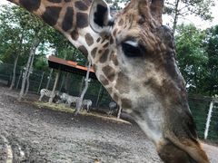 -清迈夜间动物园