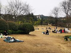 -铁山坪森林公园