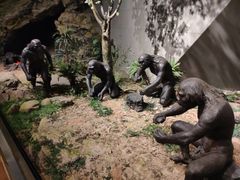 -北京周口店北京人遗址博物馆