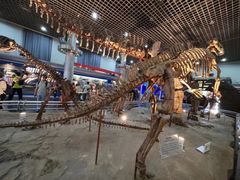 -国家自然博物馆