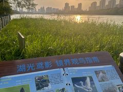 -南宁南湖公园