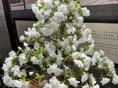 -里巷里(蚂蚁工场店)