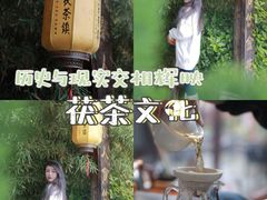 -茯茶镇